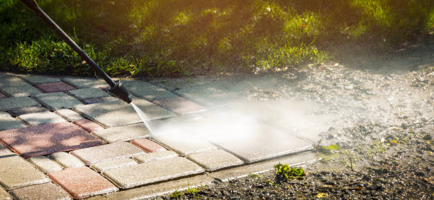 Solar Panel Cleaning in Seth Ward, TX