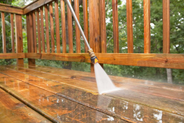 Best Building Exterior Washing  in Seth Ward, TX